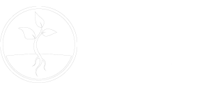 Ivy Flux Web site Developement